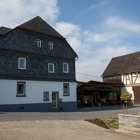 Spacious Holiday Home Between Mosel And Hunsr Ck Blankenrath Exterior photo